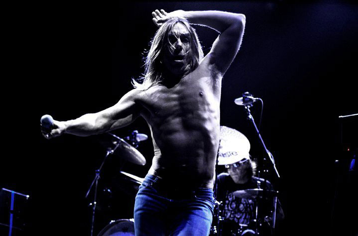 Iggy Iggy