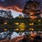 International Hobbit Day in New Zealand