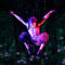 Extra Dates for a Midsummer Night’s Dream